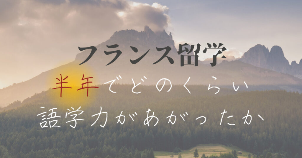 【フランス留学】半年でどのくらい語学力があがったか